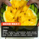 Farmer's Son Extra Sweet Xiaofeng Yellow Heart Watermelon Seeds Gift Crisp Sweet Yellow Soil Orchid Hanger Yellow Flesh Watermelon Seeds Yellow Flesh Xiaofeng Watermelon Seeds 10 capsules 10 packs