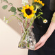 Fan Ye's high-end glass vase transparent water-raised flowers living room dried flowers irregular ins style decorative flower arrangement ornaments