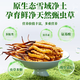 2025 frischer Cordyceps sinensis obere Periode ausgewählt frisch cordyceps Jedes frische Cordyceps in Tibet hat 0,6 Gramm 80 Stücke gepackt