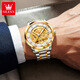 Olius Gold Dragon en forme de dragon 2025 Nouveau cadeau authentique de montre de montre mécanique entièrement automatique pour hommes