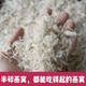 胖东来品质印尼燕窝燕碎燕条泡孕期孕妇野生干盏燕盏正品即食进口 7A+足干燕窝碎30g【三件套】 足干无毛