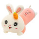 Mignon lapin oreiller fille dormant avec les jambes en peluche jouet lapin poupée Internet célébrité longue poupée meilleur ami cadeau heureux tous les jours 70cm