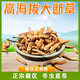 Authentischer tibetaner Cordyceps sinensis hohe Höhe Cordyceps Sinensis großes gebrochenes Gras echtes Cordyceps Sinensis sich selbst gegessenes hochwertiges authentisches Tibet Nagqu hochlöslich Cordyceps Sinensis 10 Gramm Pack 1 Gramm, insgesamt 11 Gramm