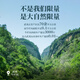 孝文家茶乌龙茶 武夷岩茶牛栏坑肉桂【K29古早牛肉】一级8.3g 高端礼盒