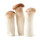 King oyster mushroom about 250g