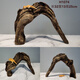 Lizard de león con múltiples mascotas sube 30-80 cm Guardias de reptiles de madera para evitar ramas de rana de árboles decorativas paisajismo H1047 Calidad
