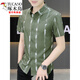 Woodpecker (Tucano) Nouveau 2025 Summer des chemises à manches courtes pour hommes Handsages de soie de glace mince chemise cool 7027 Green L 110-125Jin [Jin est égal à 0,5 kg]