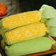Beijing fresh Yunnan fruit corn 5Jin Jin is equal to 0.5kg, fresh sweet corn on the cob, sweet, crisp and juicy, fresh vegetables, straight from the source
