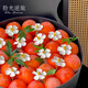 Shiguang reverse travel delivers flowers and fruit gift boxes in the same city. French fruit gift boxes and fruit baskets as birthday gifts for elders, wives and girlfriends. Good persimmons and persimmons with eternal violets and nine-star leaves. Fruit and flower gift boxes