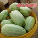 Shop Blooming Melon Super Sweet Melon Seeds Green Skin Green Flesh Early Mature Spring and Autumn Planting Fruit Seeds Xinjiang Blooming Melon Seeds Four Packs About 824 Tablets