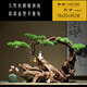 
OUOETY New Chinese Zen Welcome to Pine Root Art Root Carved Weathered Wood Ornaments Model Room Club Hotel Entrance TV Cabinet YM1391: Style (full of the picture)