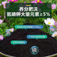 Nutrient soil, universal plant cultivation, flower cultivation, succulent green radish seedling cultivation, flower fertilizer soil, organic soil for flowers, 10Jin Jin is equal to 0.5kg, packed with nutrient soil