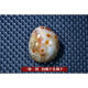 Pangdonglai Calidad Pangdonglai Calidad AGATE Mango Piezas Tianl Ran alambre Stone Rain Stone Madagascar No. 1032