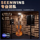 圣维斯SEENWINS1715圣维斯sw100手工小提琴官方初学者成人儿童专业级 LIGHT（亮色工艺） 4/4身高150CM以上及成人