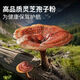 
Organic Ganoderma lucidum spore powder genuine head-drawn organic wall-enhancing immune robe powder 200g