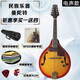 
Swan (SWAN) Western musical instrument eight-string mandolin electroacoustic mandolin guitar ethnic instrument Tibetan mandolin electroacoustic deep brown shine sabili material