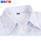 He Jiagong CCB work clothes women's formal wear collar white background blue vertical striped short-sleeved shirt square collar slim bank work clothes 3882 men's collar light blue twill short-sleeved 40 (175/92A)
