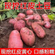 Hebei red-skinned large potatoes, fresh yellow-heart potatoes, freshly dug potatoes, ground eggs, potato noodles, hot pot wholesale, red-skinned large potatoes, 3Jin Jin is equal to 0.5kg, net weight, single fruit 150g+