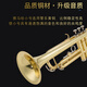 Yamaha Original Yamaha Trompeteninstrument B-Flat Tune Ytr-200dr Phosphor Bronze Studentin Leistungsabstufung Prüfung YTR-200DR Brass Model