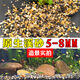 Runhua Nian five-color small stone hydroponic tulip bottom flower cultivation stone succulent paving stone stream stone 5-8mm 122g