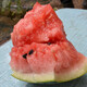 Zhongke Maohua Fruit Seeds Unparalleled Kirin Watermelon Seeds Anti-crack Jingxin 8424 Watermelon Seeds Thin Skin Red Flesh Unparalleled Kirin 10g/bag (about 160 pieces) Disassembled and packed