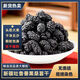 北京同仁堂新疆桑葚干无添加蔗糖无硫正品黑桑椹干大果头茬新货泡水喝的 1503克(净重三斤/无干燥剂)