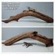 Lizard de león con múltiples mascotas sube 30-80 cm Guardias de reptiles de madera para evitar ramas de rana de árboles decorativas paisajismo H1047 Calidad