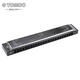 Tombo Tongbao 6624p Pure Ton Mundoniconica für erwachsene Anfänger 24-Loch Polyphonische Harmonika C Schlüssel professionelle Leistung F-Taste F Key