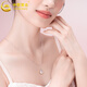 Chinese Gold Lychee Ice Silver Necklace for Women 2025 New Jade Pendant Girls Niche Birthday Gift for Girlfriends and Best Friends Lychee Ice Necklace