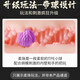 谜姬飞机杯女性生理器官解压神器成年男人发泄用品男生男性自用安慰器 江东三姐妹香菱玉齿丨含纯洁膜丨进阶刺激丨约690g 斐济杯春风原神高档圣杯七彩男士罐娘娃娃精灵手办软体