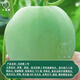 Dayu Jade Milky Melon Seeds Ding brand melon seeds super sweet thin skin milky melon Ding brand Jade Milky Melon No. 2 melon seeds 400 capsules