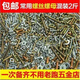 Vinoa screws and nuts mixed collection M3M4M5M6 cross round head screws, nuts and gaskets combination set Mixed small screws and nuts flat washers M3M4M5M6 mixed 1 Jin Jin equals 0.5 kg