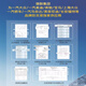 宰搂原厂防冻液红色汽车专用4L6L13578LQ3Q5Q76L-40℃红色1.5L* 1.5L -40℃ 红色 *1瓶-原装正品
