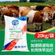 Wenmu Cattle and Sheep Strong 2% Compound Premix Beef Cattle and Sheep Feed for Long Meat and Fattening to Promote Growth to Township Mothers 2% Cattle and Sheep Premix (Beef and Sheep Strong) One Bag