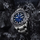 Seagull Seagull Ceramic Automatic Mechanical Watch Sport Ocean Serie Schwimmen wasserdichte Tauchwache Herrenuhr 1047H 1047H