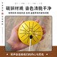 
Yuan Ethereal Drum Children Beginner Mini Percussion Instrument Adult Professional Mini Pocket Small Drum Carbon Steel Flagship Gift 4-inch 8-tone Ethereal Drum [Pink] Small and Portable 丨Crispy toys