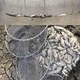 Baichao hand-woven Dalima stainless steel fishing protection, quick-drying fish storage net bag, fish basket, fishing gear crab 100cm 1m Dalima 25-Nothing given