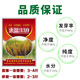 Guizhou glutinous rice seeds, long-grain fragrant glutinous rice seeds, paddy field seeds, Huinuo 330 pearl glutinous rice seeds, early and late rice seeds, regular Huinuo 330, one pack (500 grams of long glutinous rice)