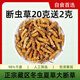 Authentischer tibetaner Cordyceps sinensis hohe Höhe Cordyceps Sinensis großes gebrochenes Gras echtes Cordyceps Sinensis sich selbst gegessenes hochwertiges authentisches Tibet Nagqu hochlöslich Cordyceps Sinensis 10 Gramm Pack 1 Gramm, insgesamt 11 Gramm