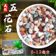 Ruixi Pure Rain Flower Stone Potted Succulent Pavement Stone Small Multicolored Stone Fish Tank Pavement Ornamental Stone Colorful Colorful Stone 6-9mm 4Jin Jin equals 0.5kg packed