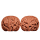 
DR-FLVVS Nanjiang Stone Walnut Cultural Play Apple Orchard Lion Head Mentougou Old Tree Short Stump Pointed Pointed Sphere Playing Non-Four Buildings 16778[45 Apple Orchard]