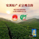 Bama -Tee -Industrie Oolong Tea Anxi Tieguanyin Starker Geschmack Typ 250g Dosen Tee immaterieller Kulturerbe Technologie