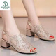 Pecker Mesh Fish Beak Chaussures talons épais Sandales creux pour les femmes Stérome pour la femme à la mode et polyvalente Solide High Talons Hingestone Leather Chaussures pour femmes Champagne Couleur 35