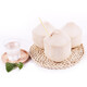 Pinzan Thai Green Coconut 9 single fruits net weight 900g-1000g large coconut fresh fruit