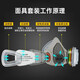 胜丽 M6200防毒面具口罩 防无机气体/氯化氢/氢氰酸 印刷厂印花厂 M6005配22片滤棉