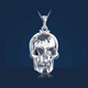 Dirholl PT950 platinum pendant platinum men's pendant skull Ghost Rider 520 Valentine's Day birthday gift for husband PT950 platinum pendant platinum men's pendant skull