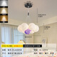 Zunyi LED Wohnzimmer Hauptlichtrestaurant Nordic Creative Cream Style Kronleuchter Schlafzimmer Deckenlampe Ganzes Haus Kombination Paket 1W 9734-Golden 13-köpfige dreifarbige helle Ball 1