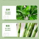 Jingyunmeng Lucky Bamboo office potted transfer bamboo green plants home flowers balcony rootless bottle source straight hair