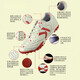 卡尔美（KELME）足球联名睿1.1系列T-MARK缓震TF碎钉袋鼠皮足球鞋 全K黑色8222ZX1098-003 40 US7