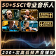 圣维斯SEENWINS1715圣维斯sw100手工小提琴官方初学者成人儿童专业级 LIGHT（亮色工艺） 4/4身高150CM以上及成人